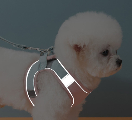 Adjustable Reflective Cat Harness Vest For Walking Cats & Kittens