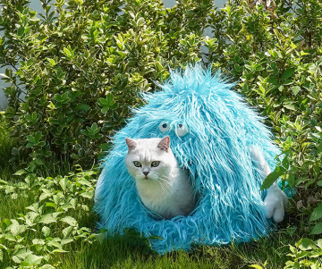 Cat Fluffy Bed With Removable Washable Cushioned Pillow