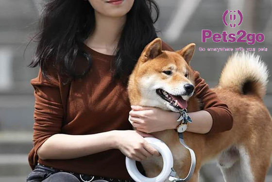 138X30mm Polyester Webbing Hands Free Retractable Dog Leash