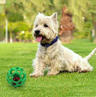 TPR Hollow Anti Biting Stretching Pet Rubber Ball Educational