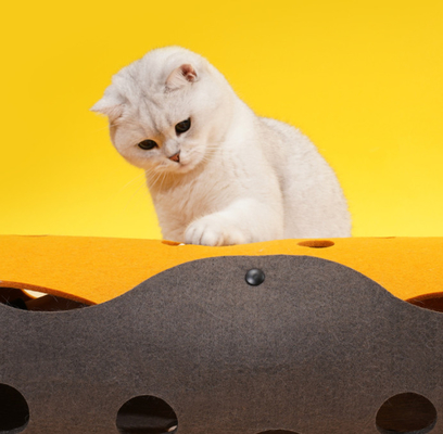 Amazon Big Cat Tunnels For Indoor Cats Interactive Pet Puppies