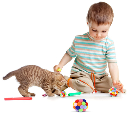 Interactive Kitten Plush Chew Ball Toys For Teething Chewing Toys