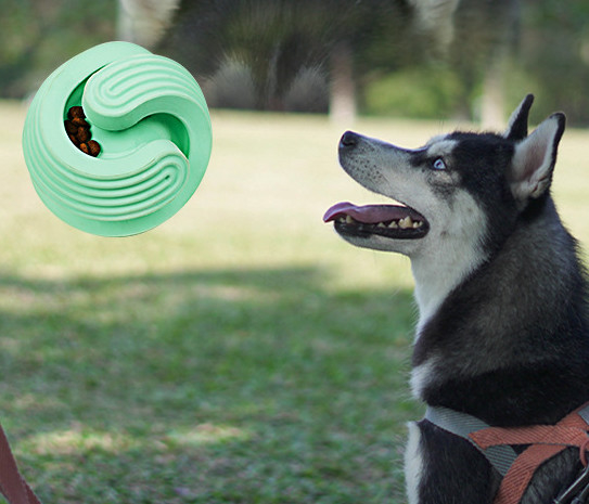 小さい犬のための最もよい咀嚼のおもちゃ