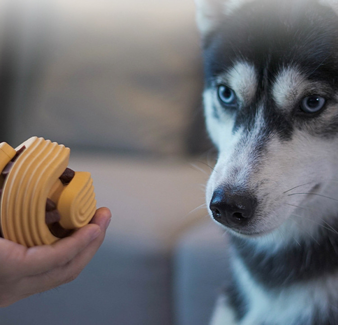 小さい犬のための最もよい咀嚼のおもちゃ