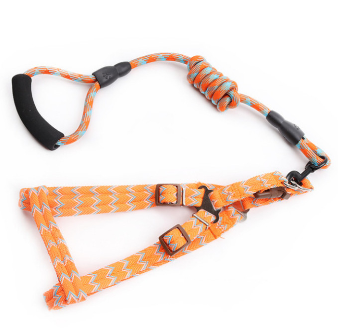 子犬の馬具および鉛セット