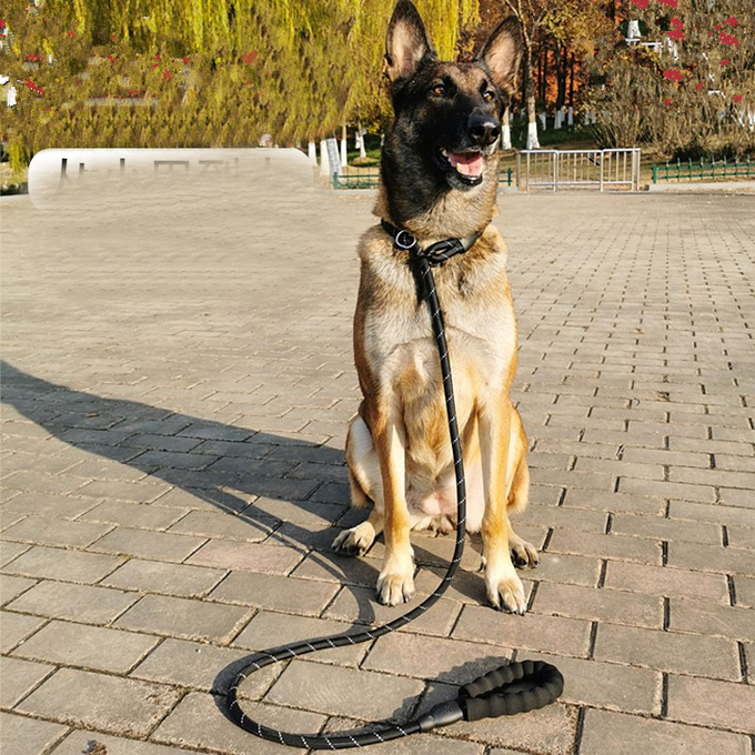 容易な鉛犬の鎖