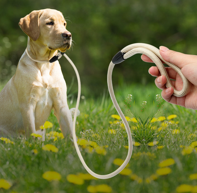 最もよい反引き犬の鉛