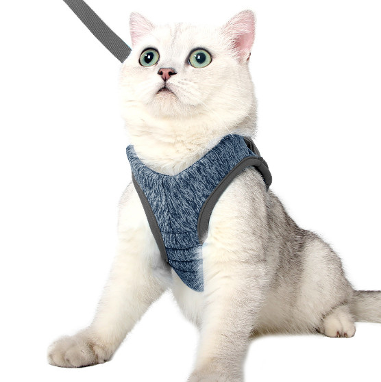 小さい猫の馬具および鉛
