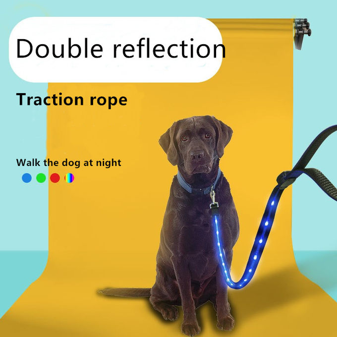 犬の鉛をつけなさい