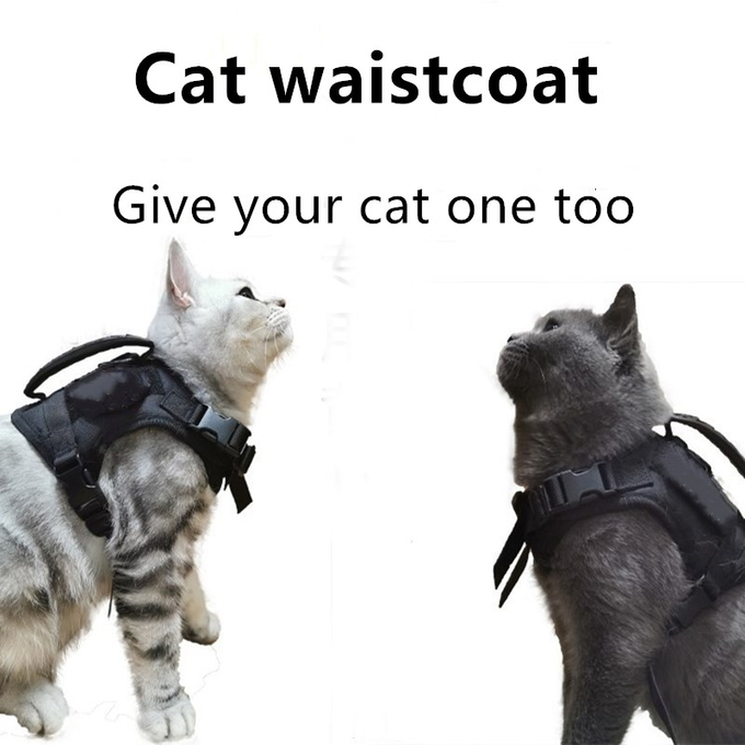 猫の戦術的な馬具