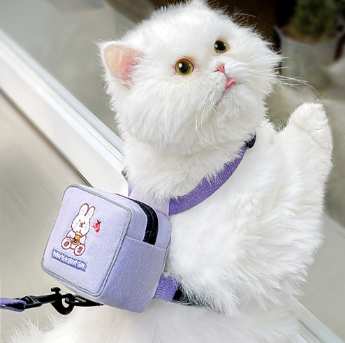 柔らかい猫の馬具