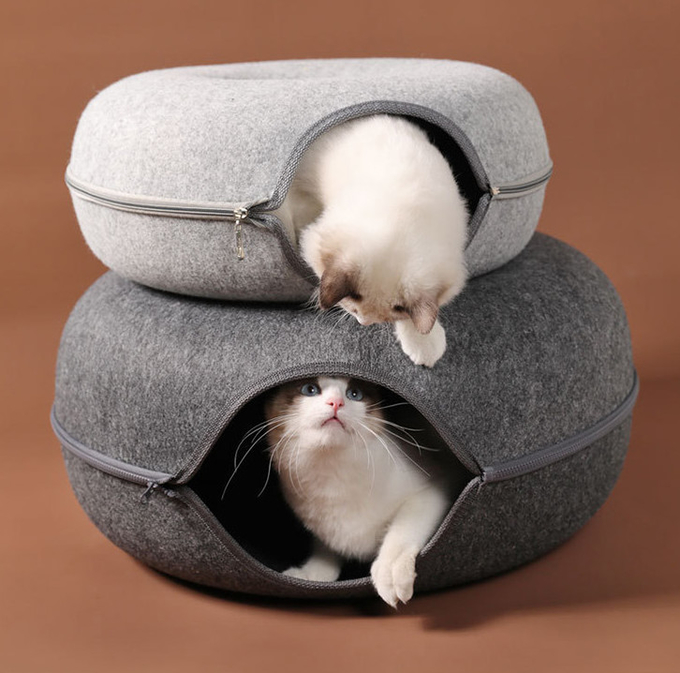 最もよい猫の洞窟