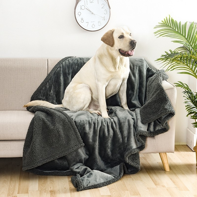 販売のための犬毛布
