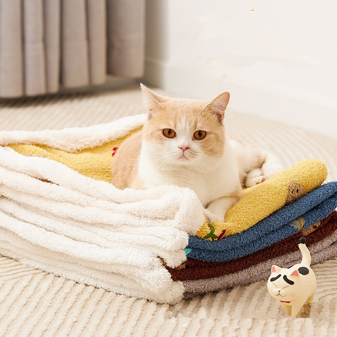屋外犬毛布