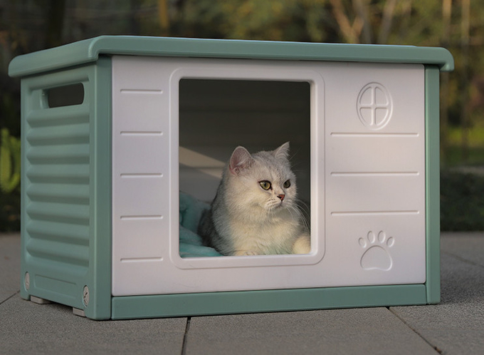 屋外猫の洞窟