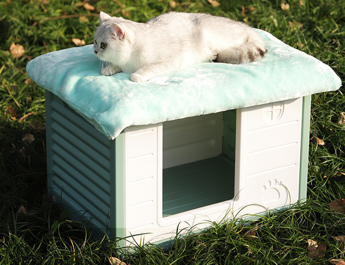 屋外猫のポッド