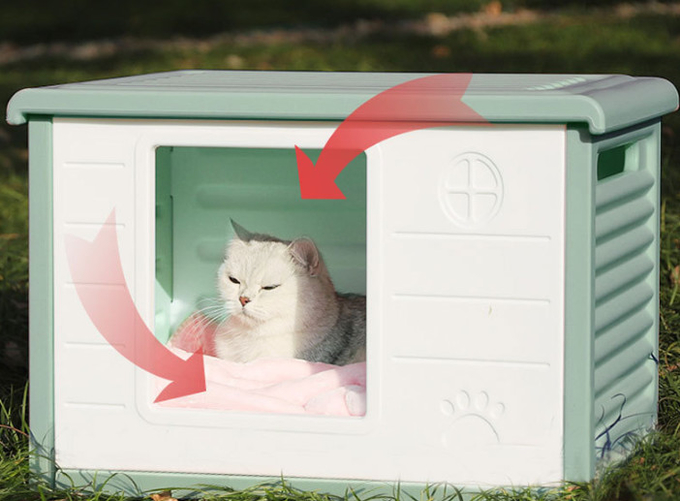 屋外猫のポッド
