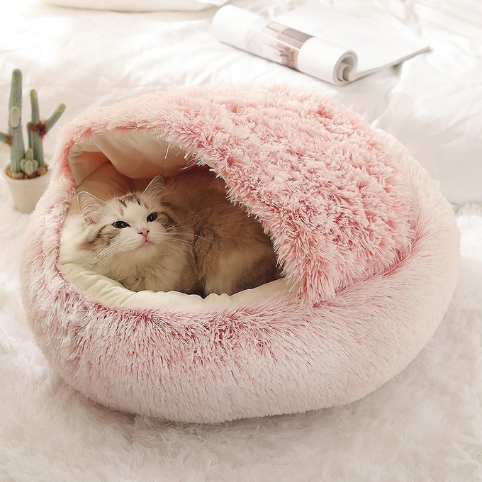 静まる巣猫