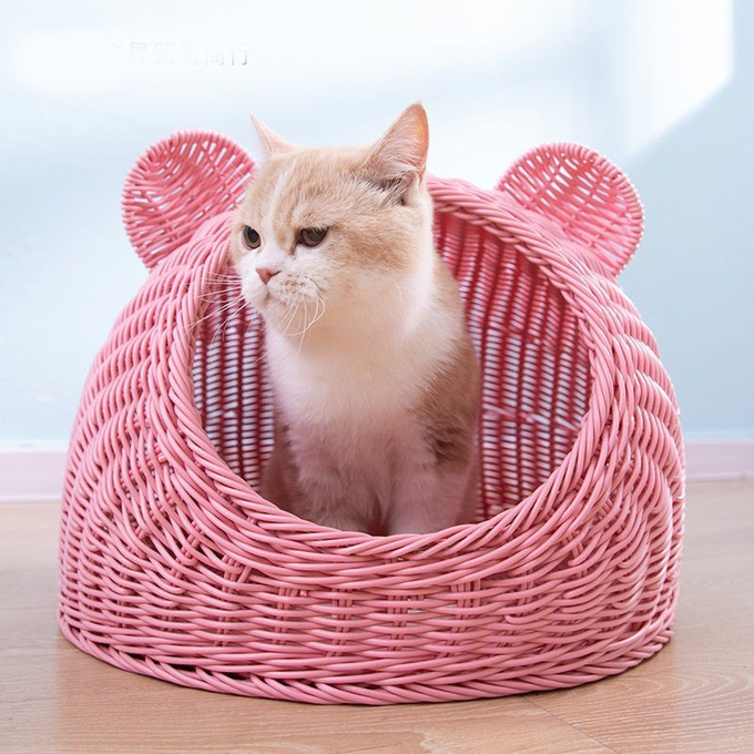 藤猫の家