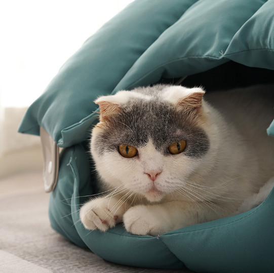 楕円形猫のベッド