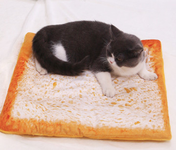 猫のための暖まる毛布