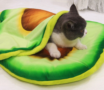 家は猫のベッドを作った