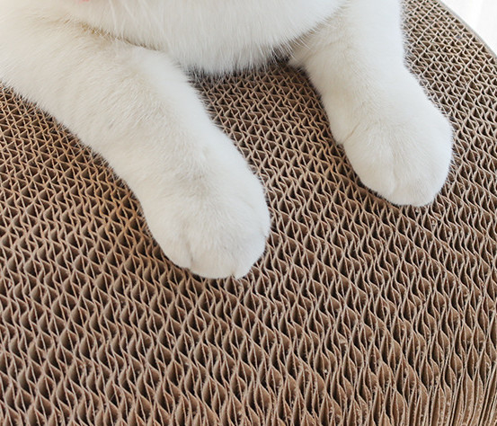 板紙箱猫のベッド