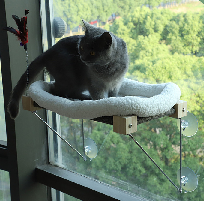 最もよい猫の窓のハンモック