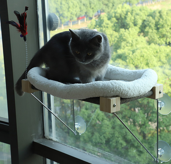 猫の窓のとまり木